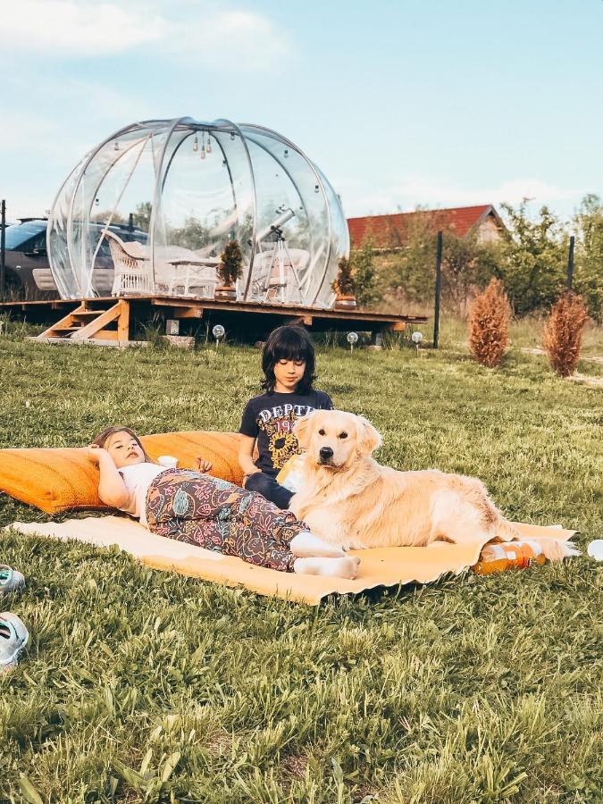 Вилла The Wooden Nest -Ковасна Экстерьер фото